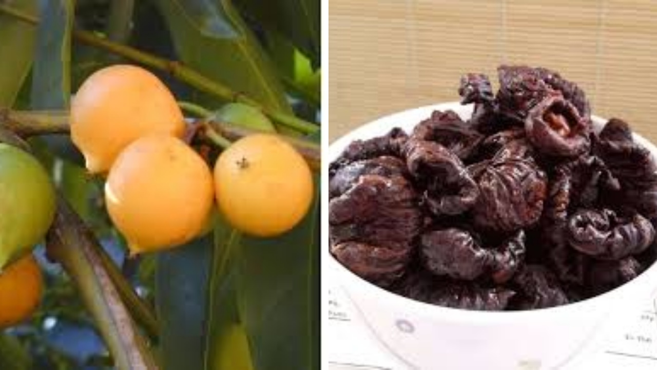 Asam Kandis: Inilah Kandungan Nutrisi dan Manfaatnya Untuk Kesehatan