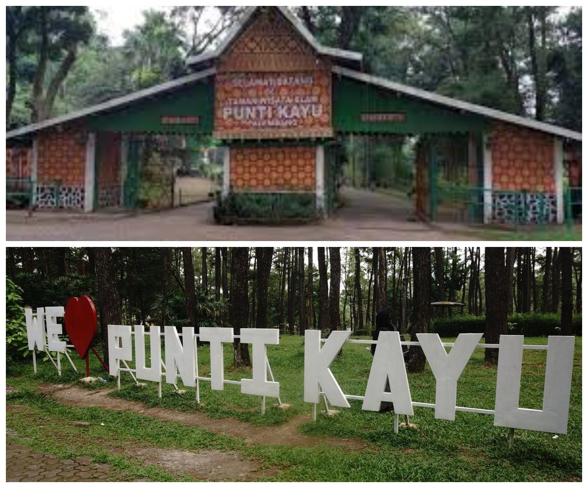 Wajib Banget Kamu Kunjungi, Inilah 5 Daya Tarik Taman Wisata Punti Kayu Palembang 