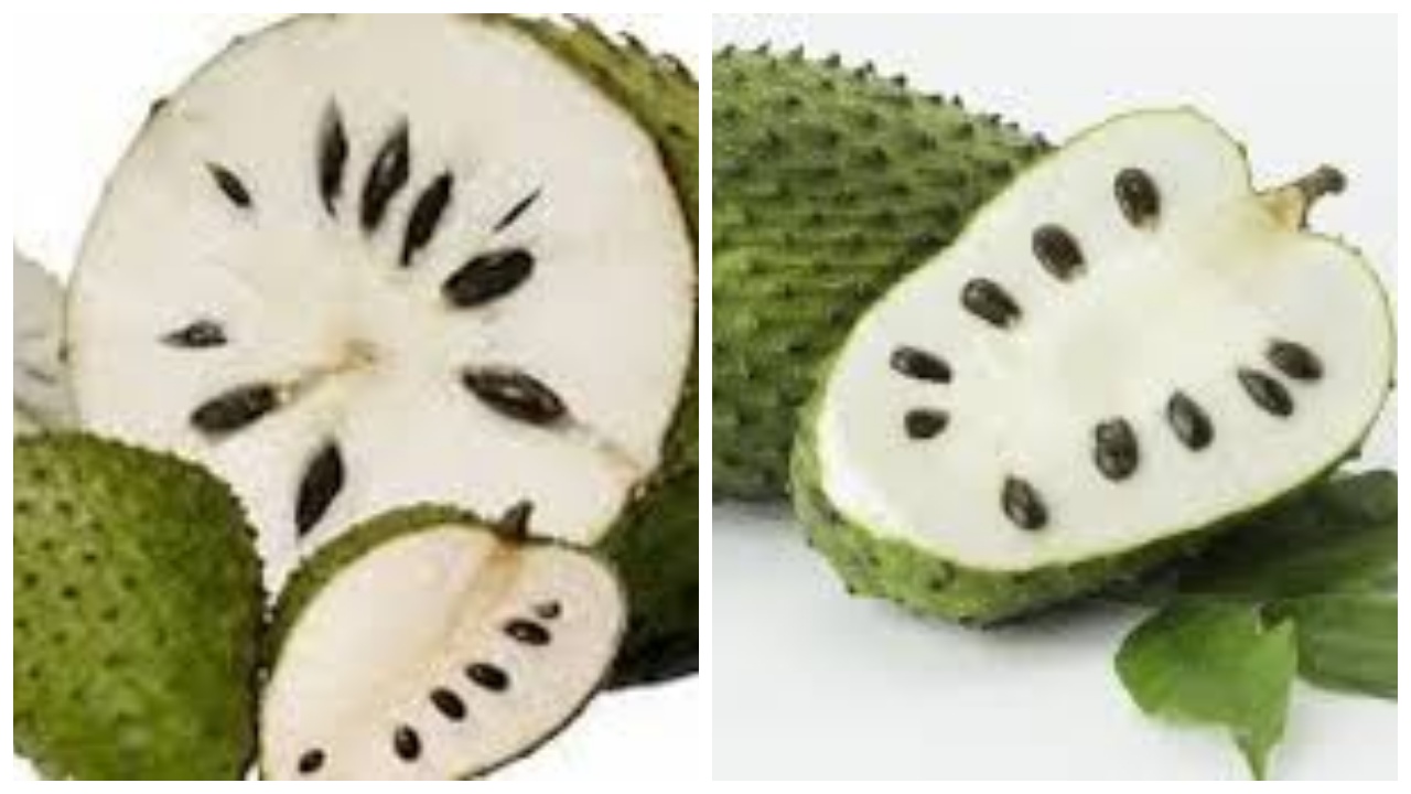 Inilah Segudang Manfaat Buah Sirsak Baik Bagi Tubuh Yang Luar Biasa