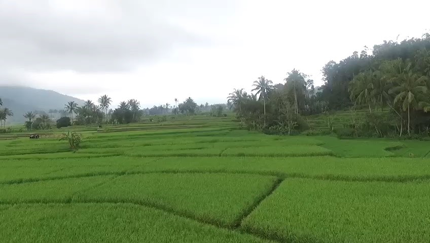 Kubu Gadang, Menyambangi Keindahan Alam dan Budaya Sumatera Barat, Simak Selengkapnya Disini!