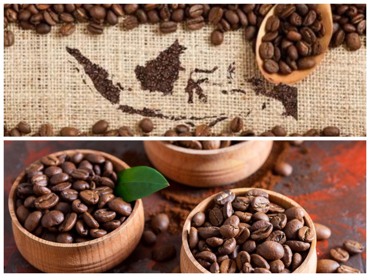 Kopi Nusantara: Cita Rasa Unik yang Bikin Dunia Jatuh Hati pada Indonesia