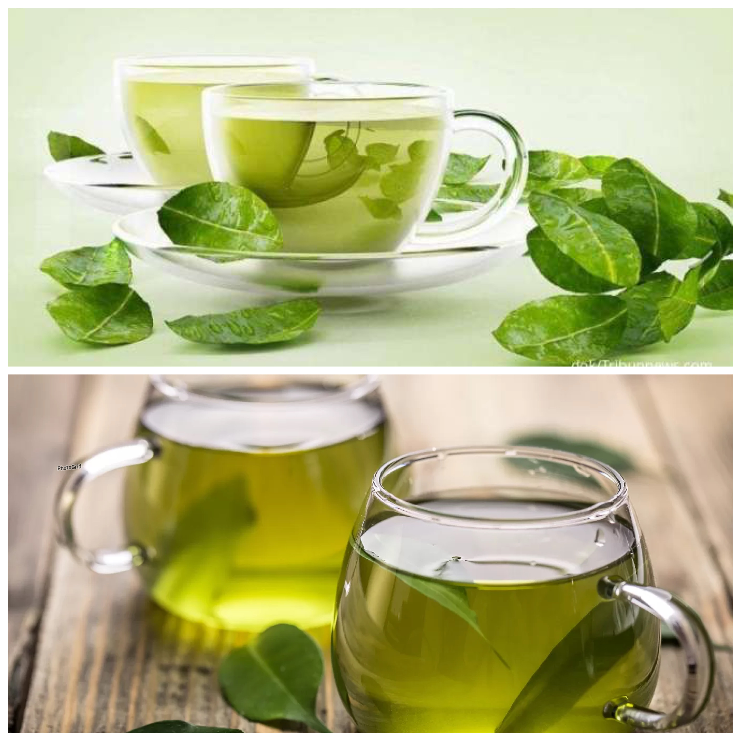 Manfaat Teh Hijau bagi Kesehatan Tubuh: Rahasia Alami untuk Menjaga Kebugaran dan Panjang Umur!