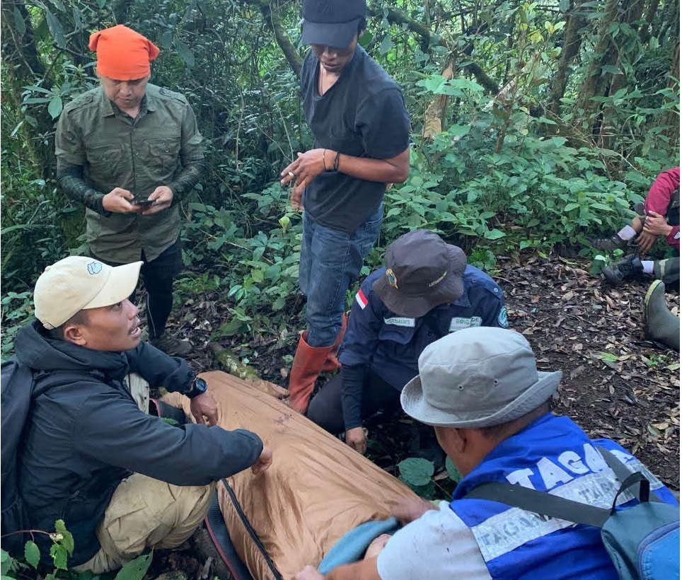 Begini Kronologi Pendaki Asal Palembang Dkabarkan Hilang di Gunung Dempo
