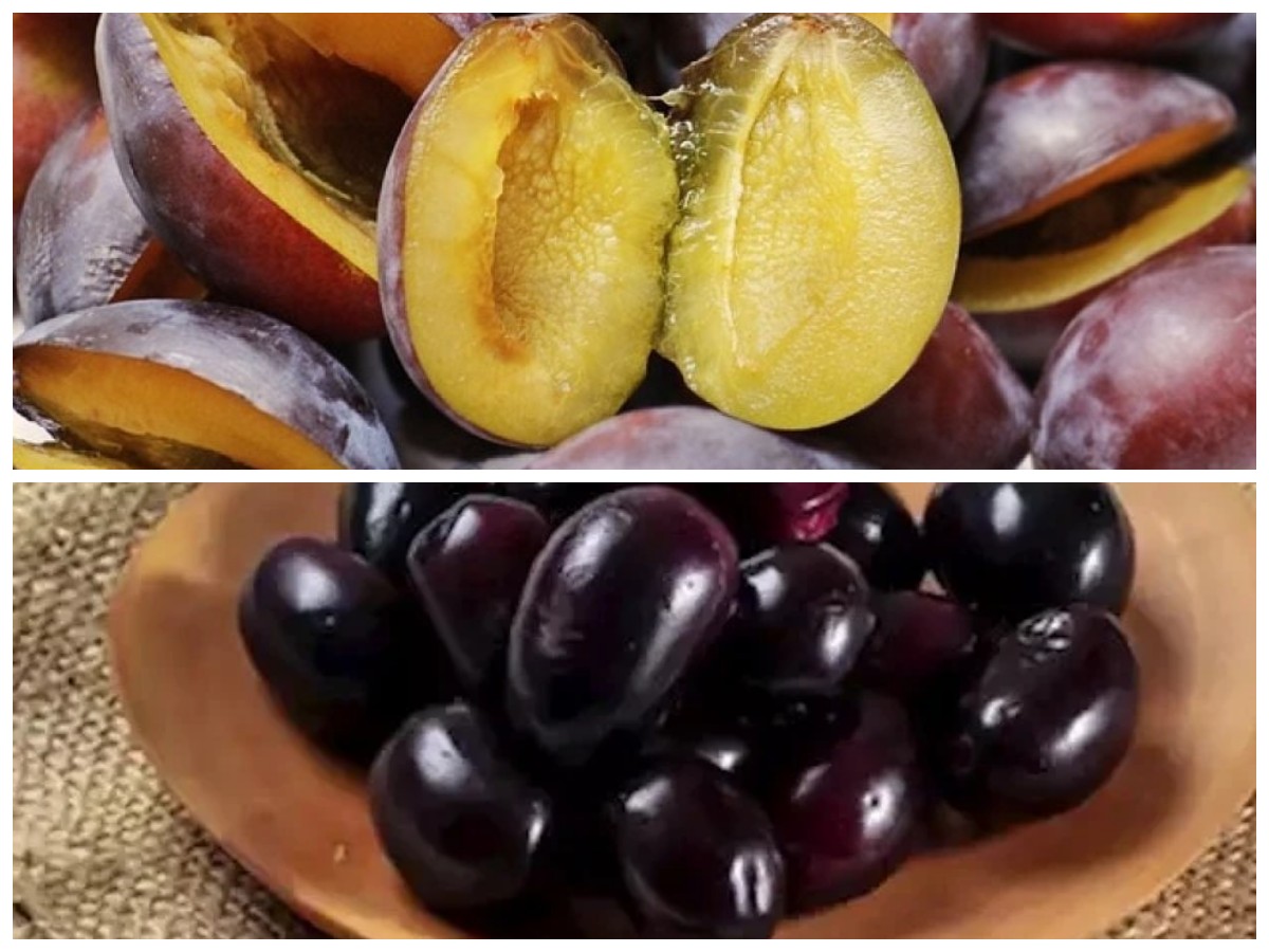 Tak Sekadar Buah Liar, Ini 7 Khasiat Jamblang yang Luar Biasa untuk Kesehatan Tubuhmu