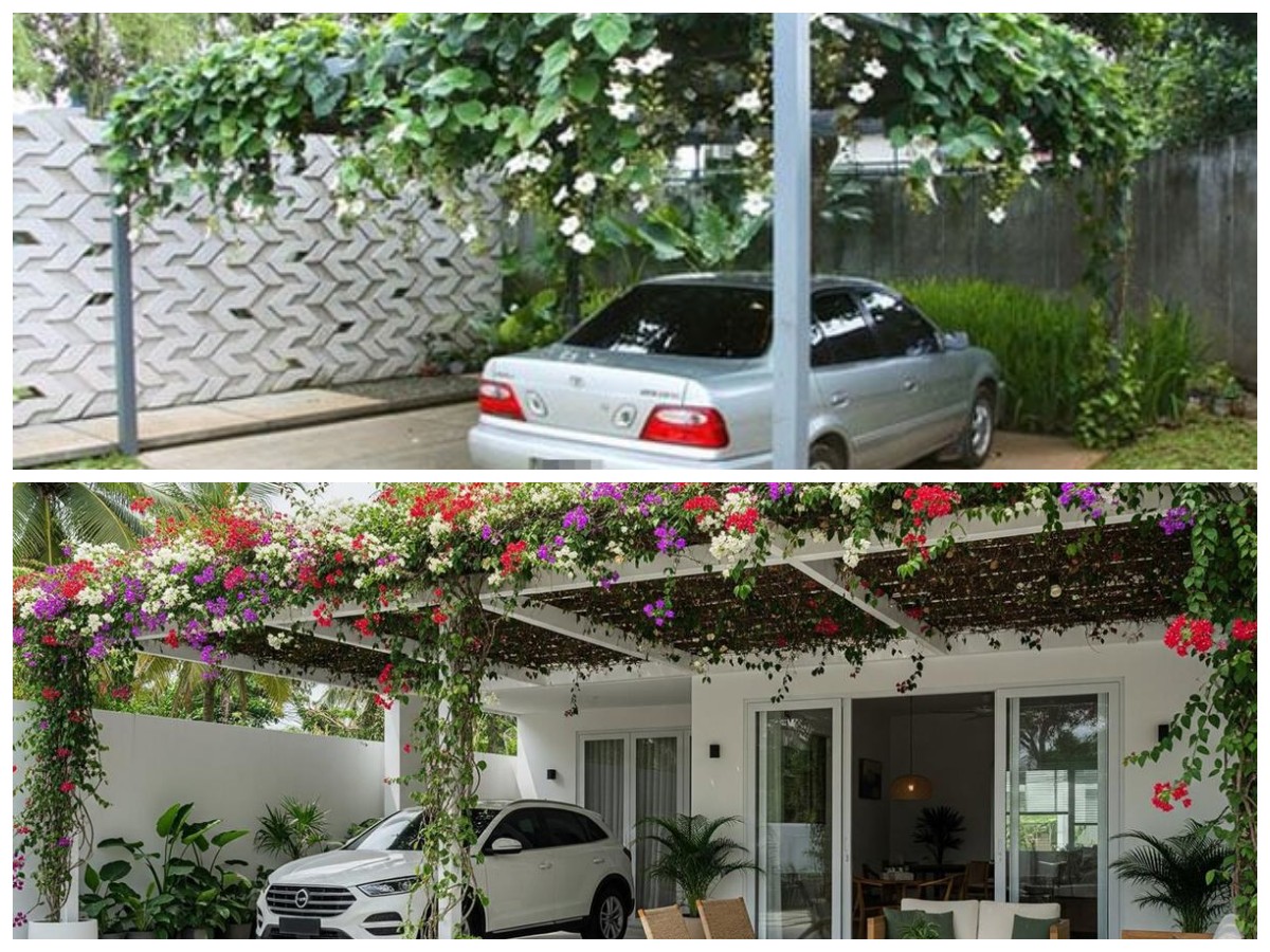 Carport Hijau: Inspirasi Memadukan Area Parkir dengan Tanaman Rambat Tropis