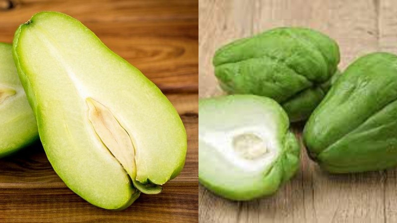 Mengungkap Manfaat Labu bagi Kesehatan yang Sering Terlewatkan!