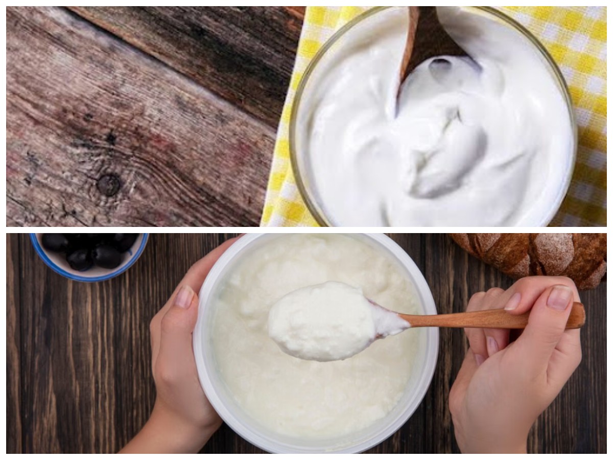 Segudang Manfaat Yoghurt Plain: Dukungan Optimal bagi Sistem Pencernaan, Tulang Kuat, dan Imunitas