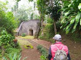 Temuan Istana Kuno Ini Viral, Ditemukan Pencari Rumput Didalam Hutan Jati
