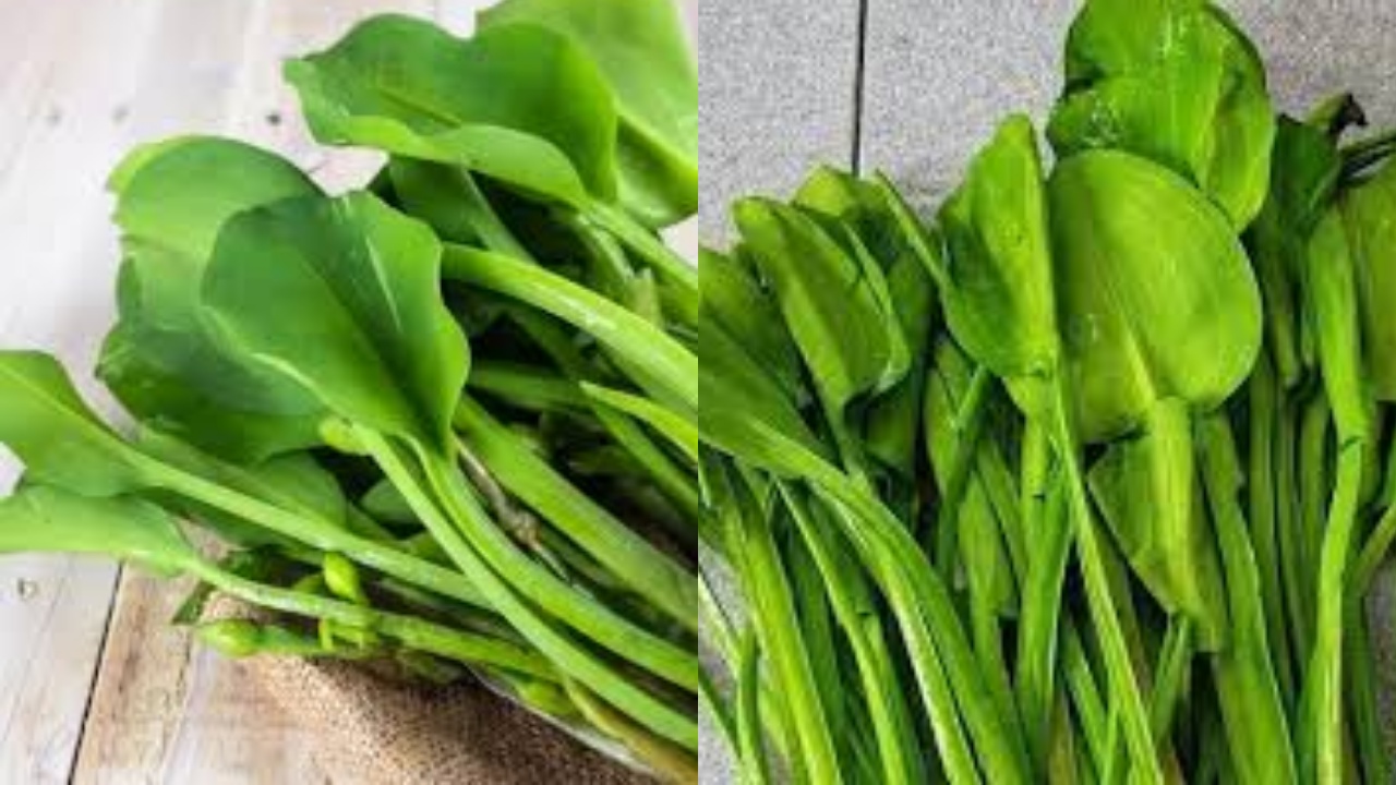 Inilah 7 Manfaat Daun Genjer Untuk Kesehatan, Apa Saja Yuk Simak?