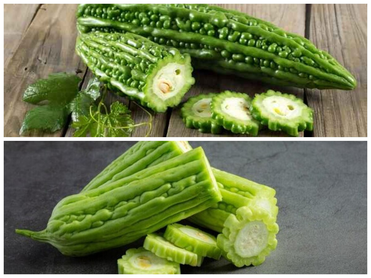 Pare: Sayuran Pahit yang Kaya Manfaat untuk Tubuh dan Kesehatan Anda