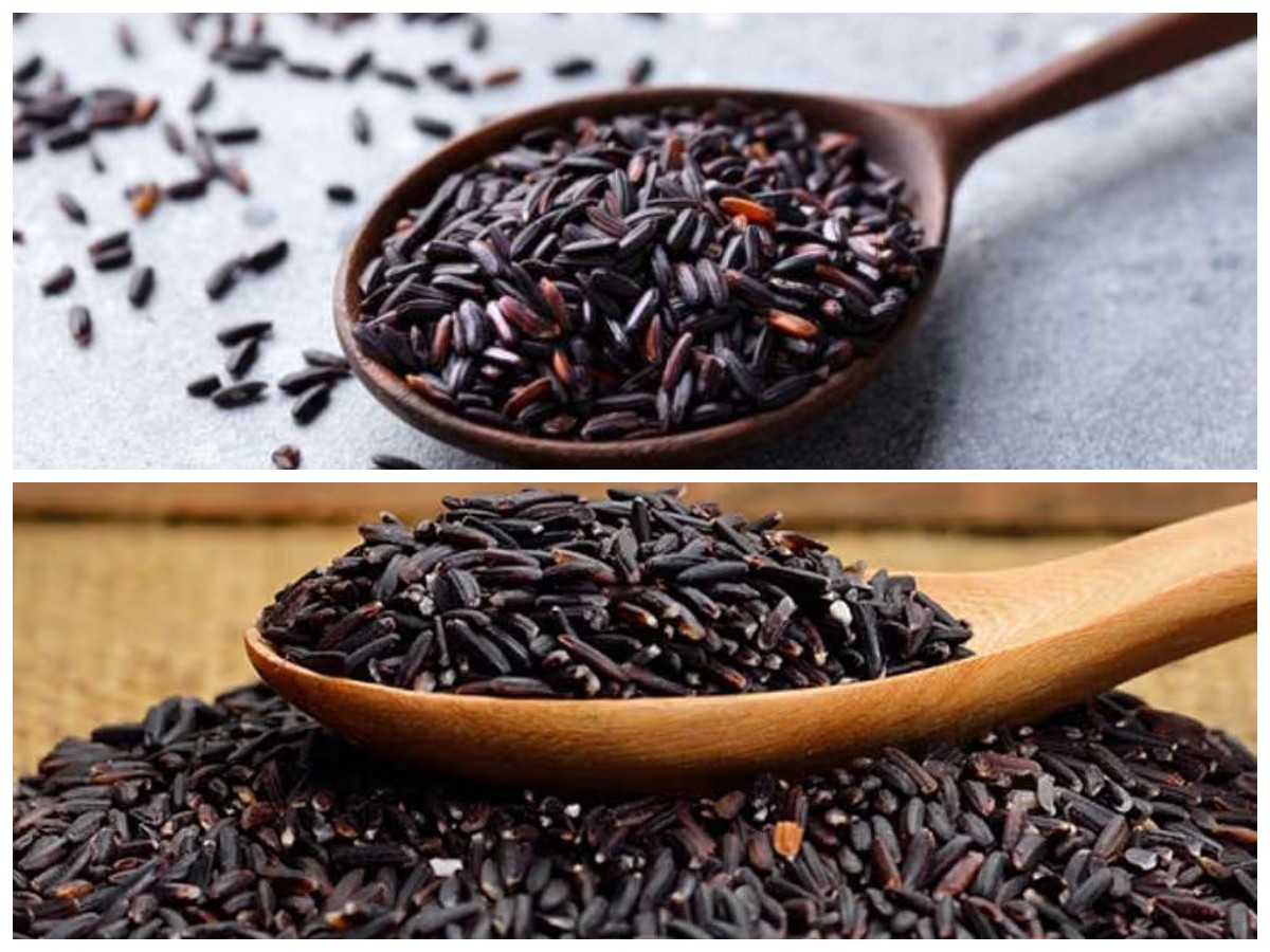 8 Khasiat Ketan Hitam yang Baik untuk Menunjang Kesehatan Tubuh