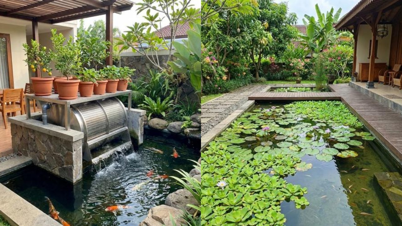 Model Kolam Ikan Minimalis di Teras yang Tidak Bau dan Mudah Dirawat!