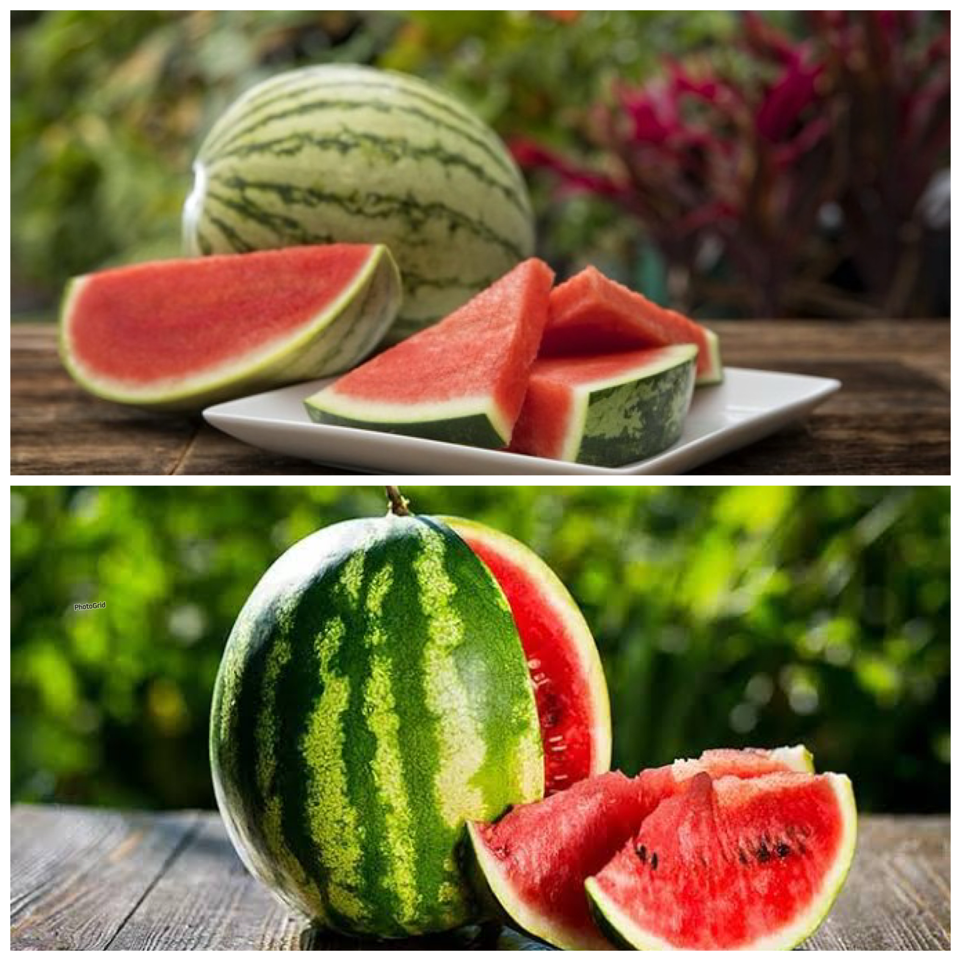 Manfaat Buah Semangka bagi Kesehatan Tubuh: Rahasia Segar yang Kaya Nutrisi dan Menyehatkan dari Alam!