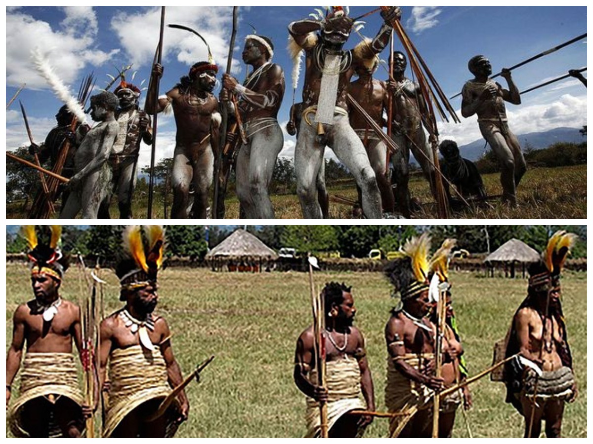 Menguak Kehidupan Suku Yali: Pertanian Tradisional di Pegunungan Papua