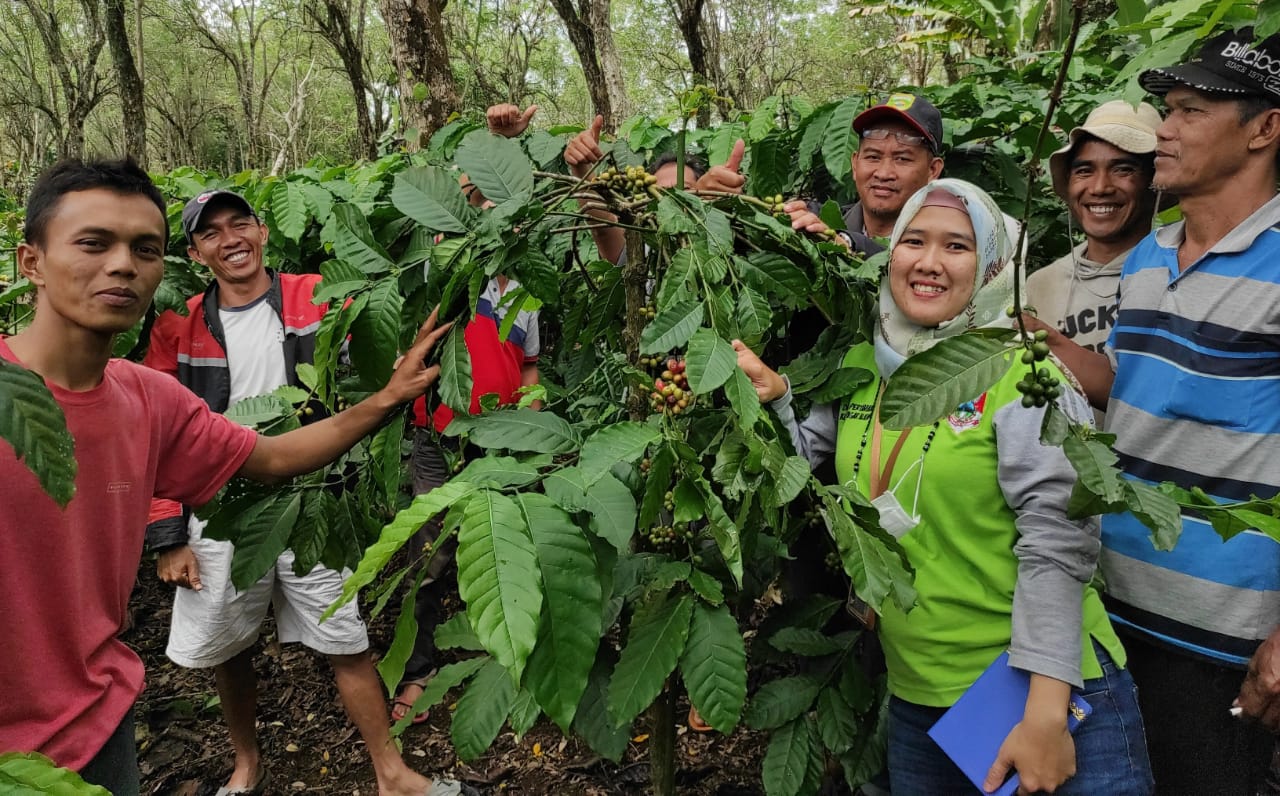 Sejuta Sambung Pucuk Kopi Berlanjut Ditahun Kelima