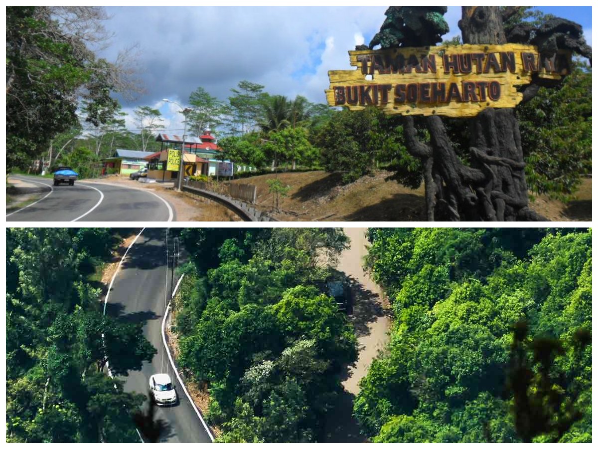 Sejarah Bukit Soeharto: Hutan Lindung dan Jejak Perjalanan Waktu di Kalimantan Timur!