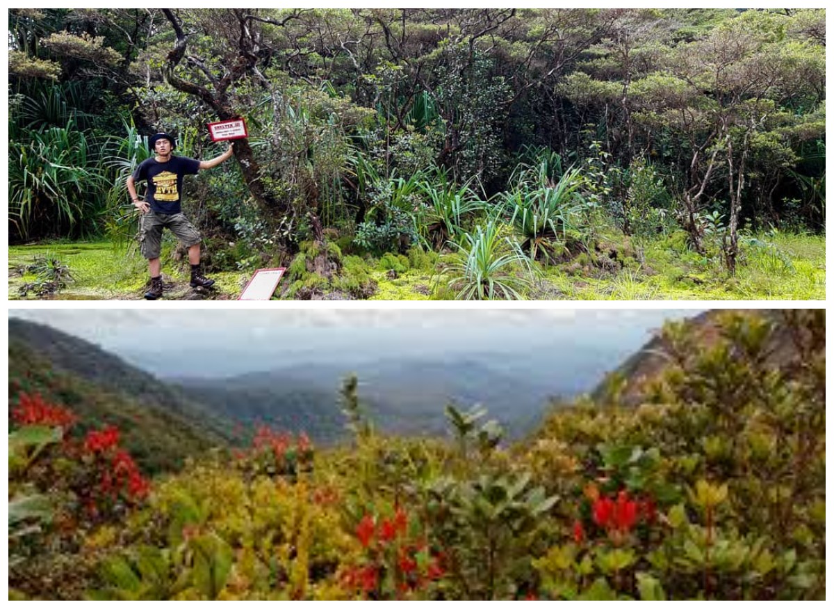 Menelusuri Legenda Gunung Kunyit: Tempat Bersemedi Depati Parbo dan Fakta Sejarahnya