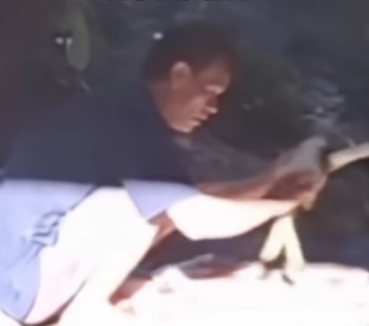 Penjagal Kucing Viral di Pagar Alam Dibekuk Polisi, Ternyata Ini Identitasnya