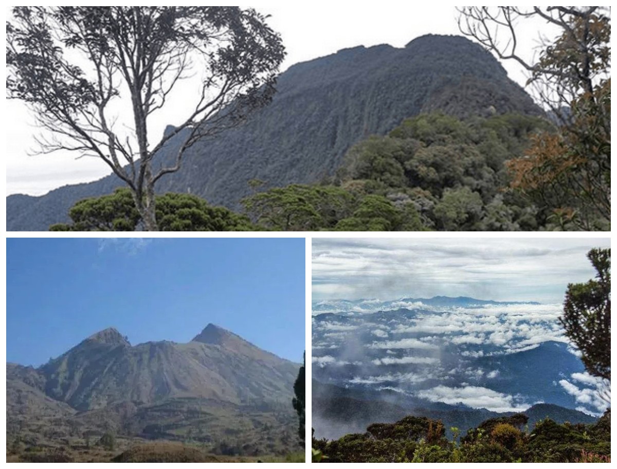 Menelusuri Gunung Bukit Raya: Keindahan Alam dan Makna Budaya yang Mendalam!