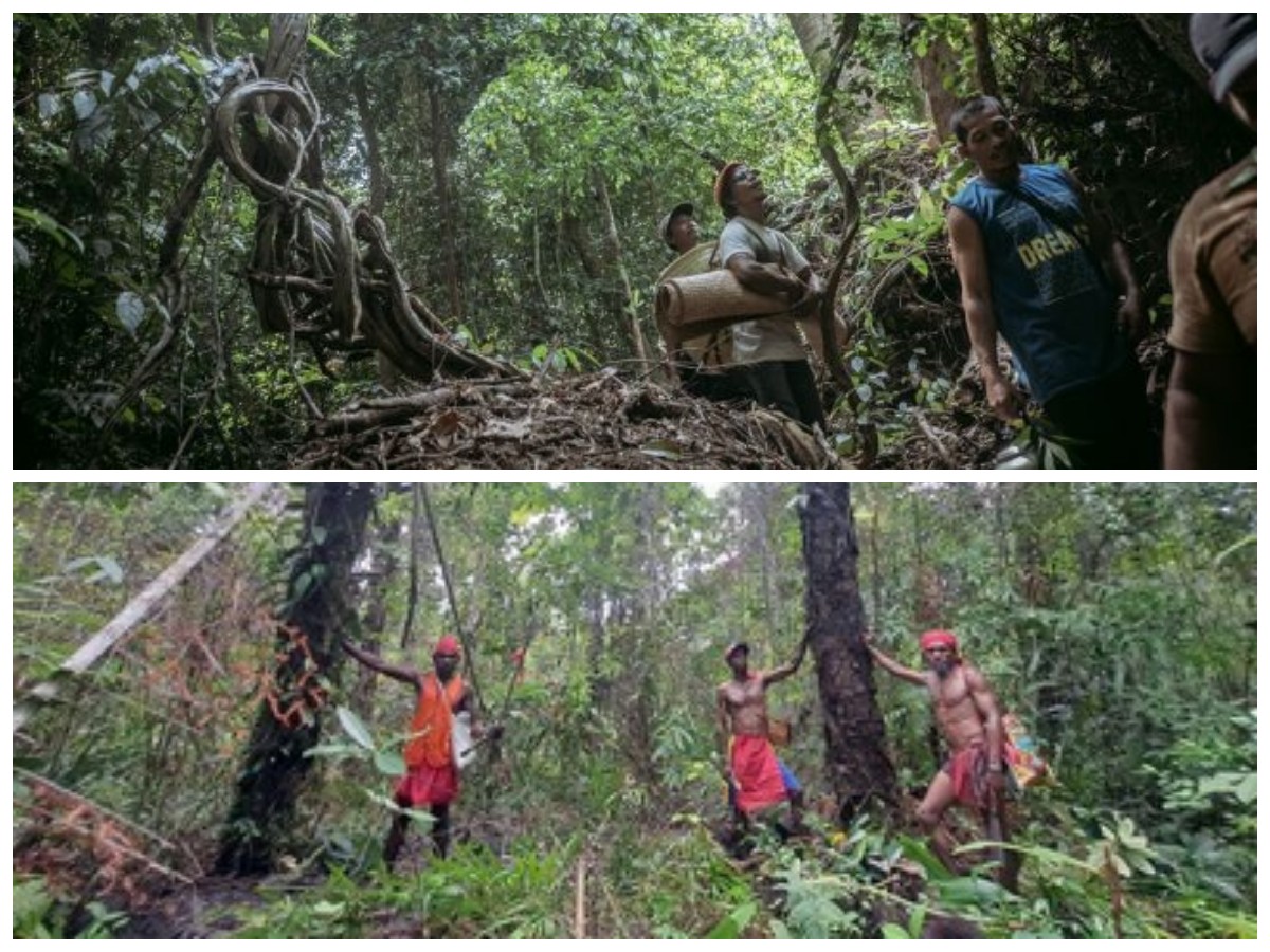 Rahasia Harmoni Alam: Bagaimana Suku Mapur Menjaga Kelestarian Lingkungan di Bangka