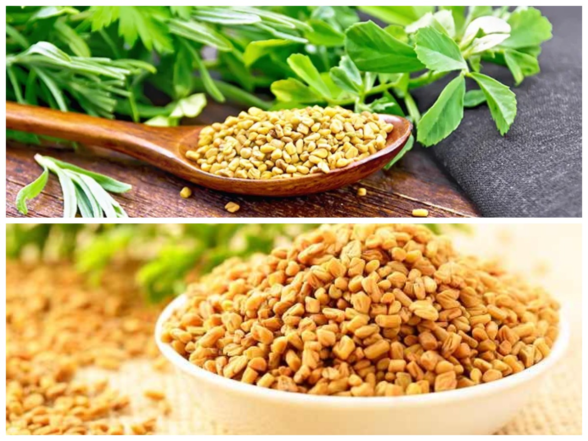 Rahasia Alami Kendalikan Gula Darah dengan Fenugreek, Herbal Ampuh untuk Penderita Diabetes!