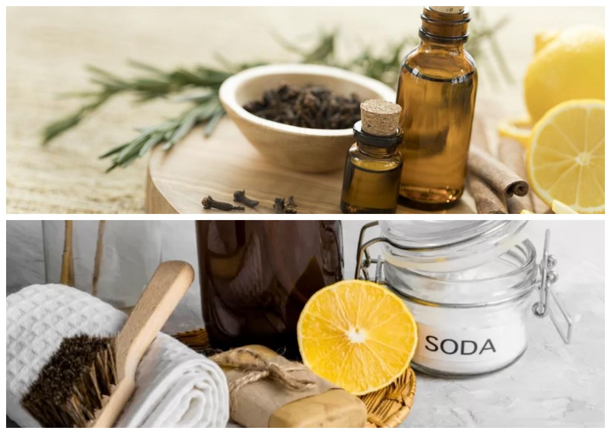 Rahasia Ruang Tamu Selalu Wangi Semerbak Hotel Mewah Hanya dengan Bahan Dapur!