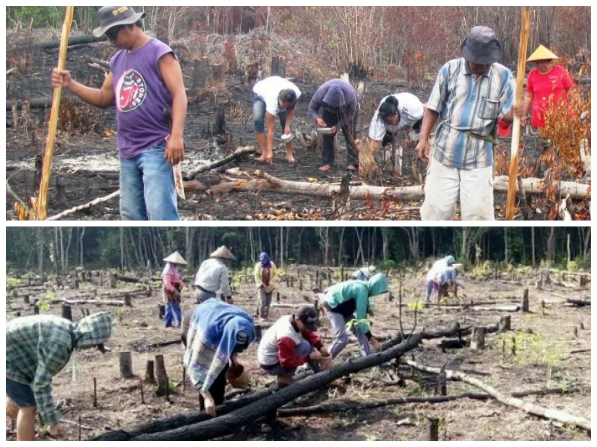 Suku Rambang dan Kearifan Lokal: Warisan Budaya yang Tetap Hidup di Tengah Sawah