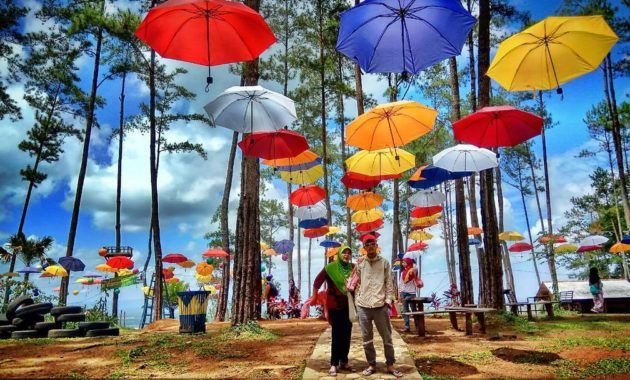 Kemit Forest Cilacap, Mengukir Kenangan Indah Liburan Bersama Keluarga Tercinta