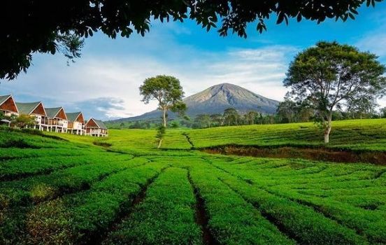 Pengen Liburan ke Pagar Alam Tapi Takut Boncos? Begini Tips Liburan Hemat ke Pagar Alam 