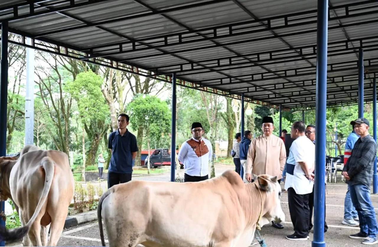 Pj Wali Kota Salurkan 7 Ekor Sapi Kurban, Dukung Gerakan Berkurban Serentak se-Sumsel