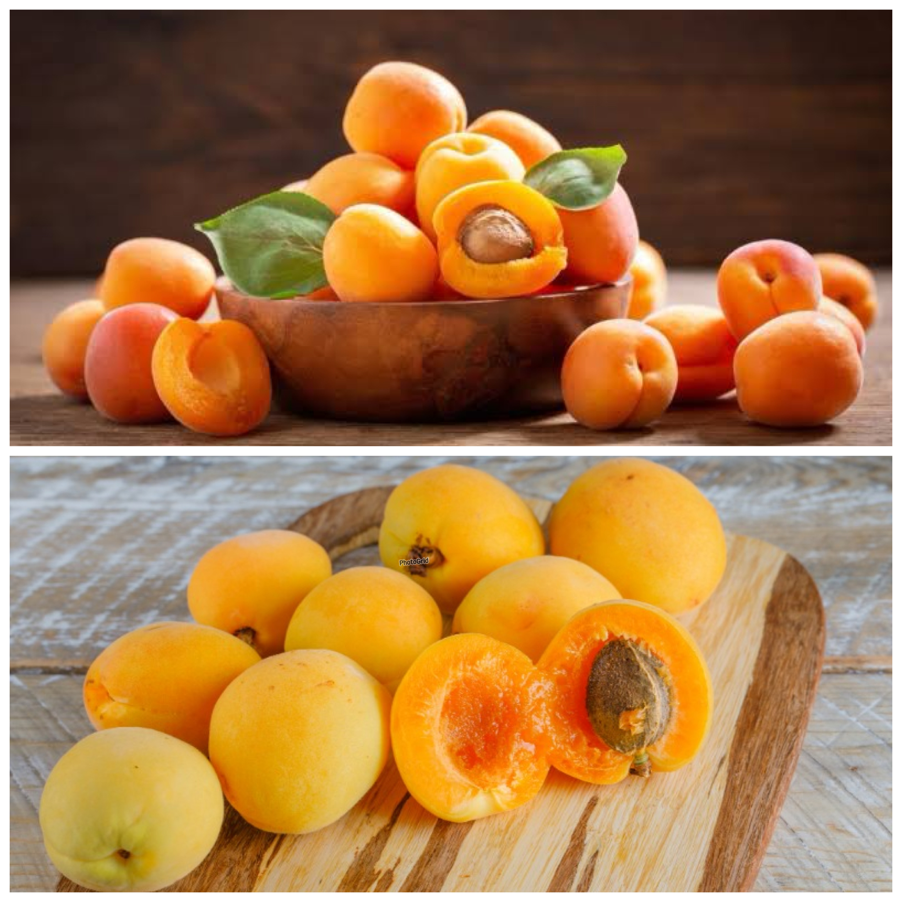 Sejuta Rahasia Sehat di Balik Buah Aprikot, Kecil Tapi Manfaatnya Luar Biasa!