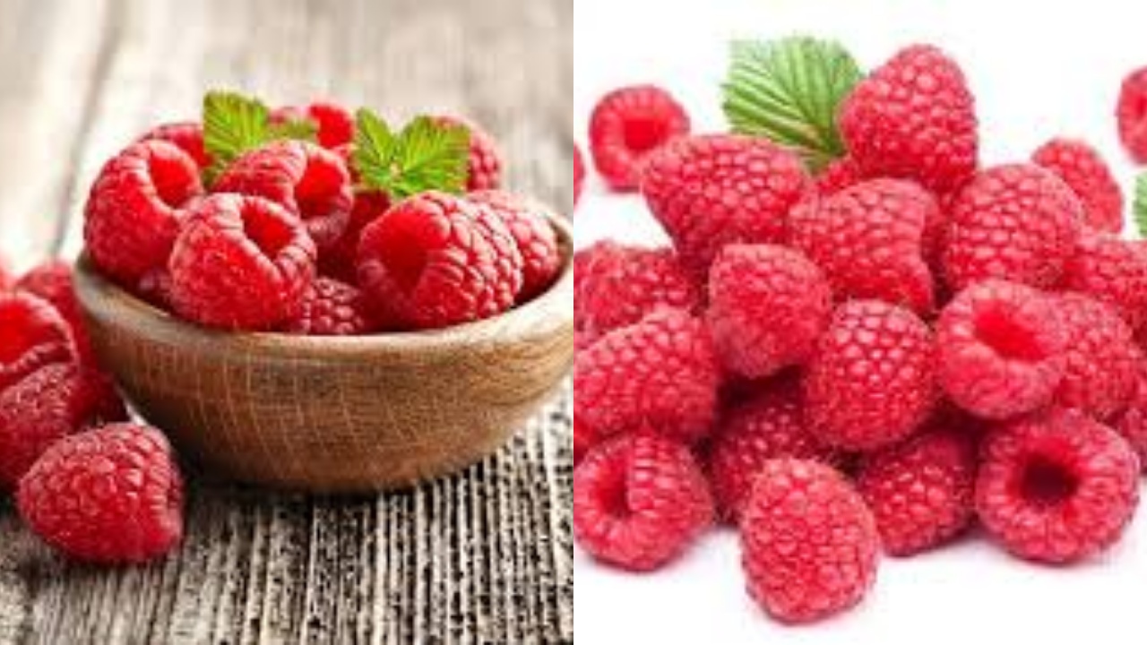 Catat! Ini Manfaat Raspberry Untuk Kesehatan Tubuh Yang Jarang Diketahui