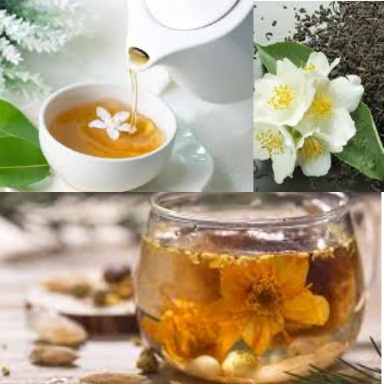 Jasmin Tea : Minuman Aromatik yang Banyak Khasiatnya untuk Kesehatan