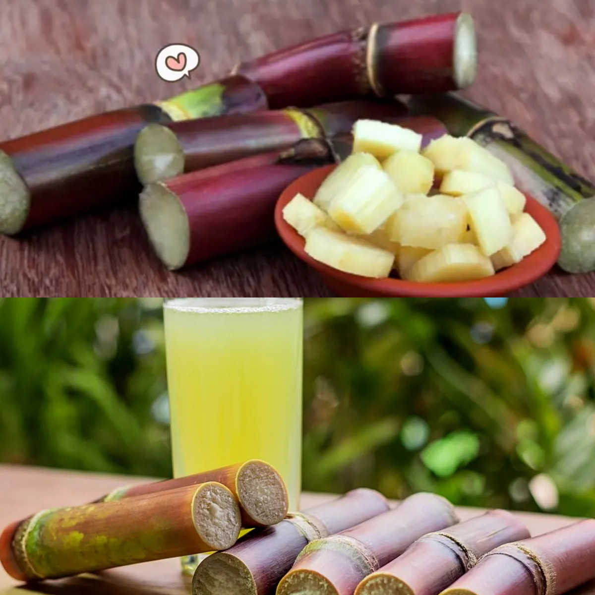 Tebu Hitam, Kenali 5 Manfaatnya untuk Kesehatan!