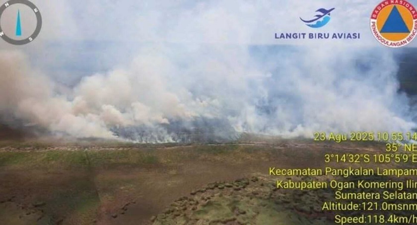 Memmprihatikankan, Karhutla Hanguskan 5.264 Hektare Lahan di Sumsel