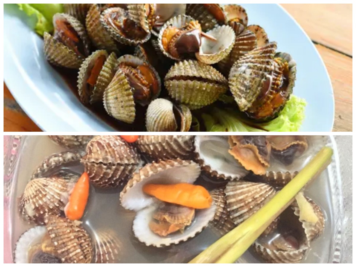 Resep Sederhana Kerang Dara Rebus, Cocok untuk Santapan Sehat di Rumah