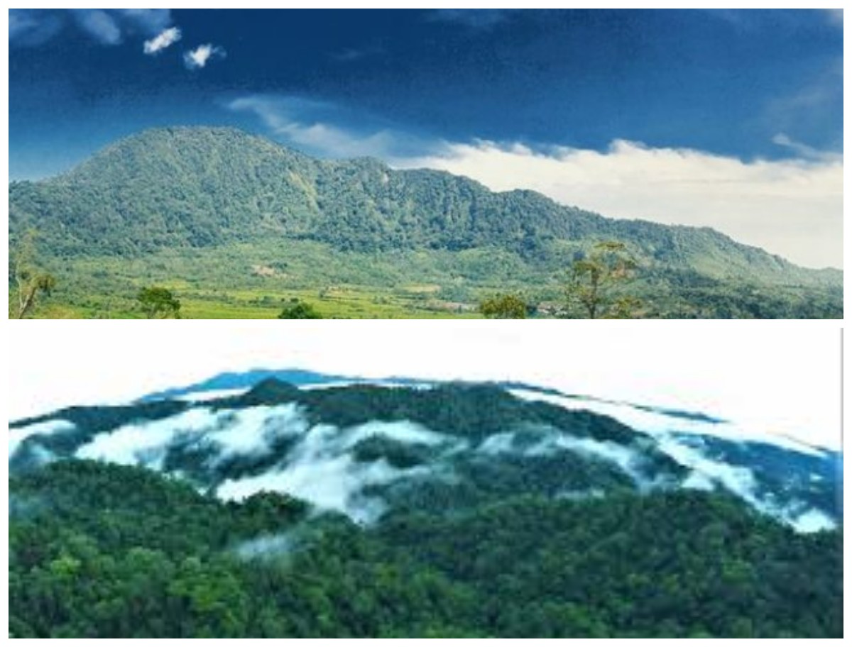 Menelusuri Sejarah Gunung Kerihun: Benteng Alam di Ujung Kalimantan!