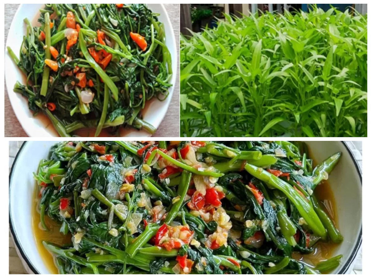 Menguak Manfaat Kangkung: Rahasia Sayur Sederhana untuk Kesehatan Tubuh