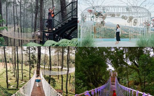 Berani Coba? Sensasi Berjalan di Udara di Skywalk Instagramable Ini Bikin Deg-Degan!