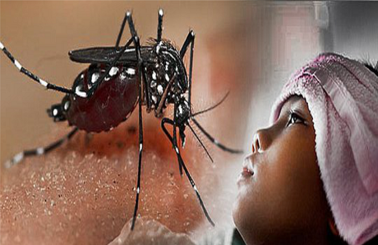 Musim Hujan, Waspada Penyakit DBD