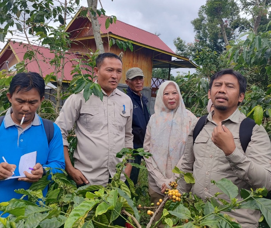 BRRIN Uji Karakteristik Kopi Raden Kuning Khas Pagar Alam