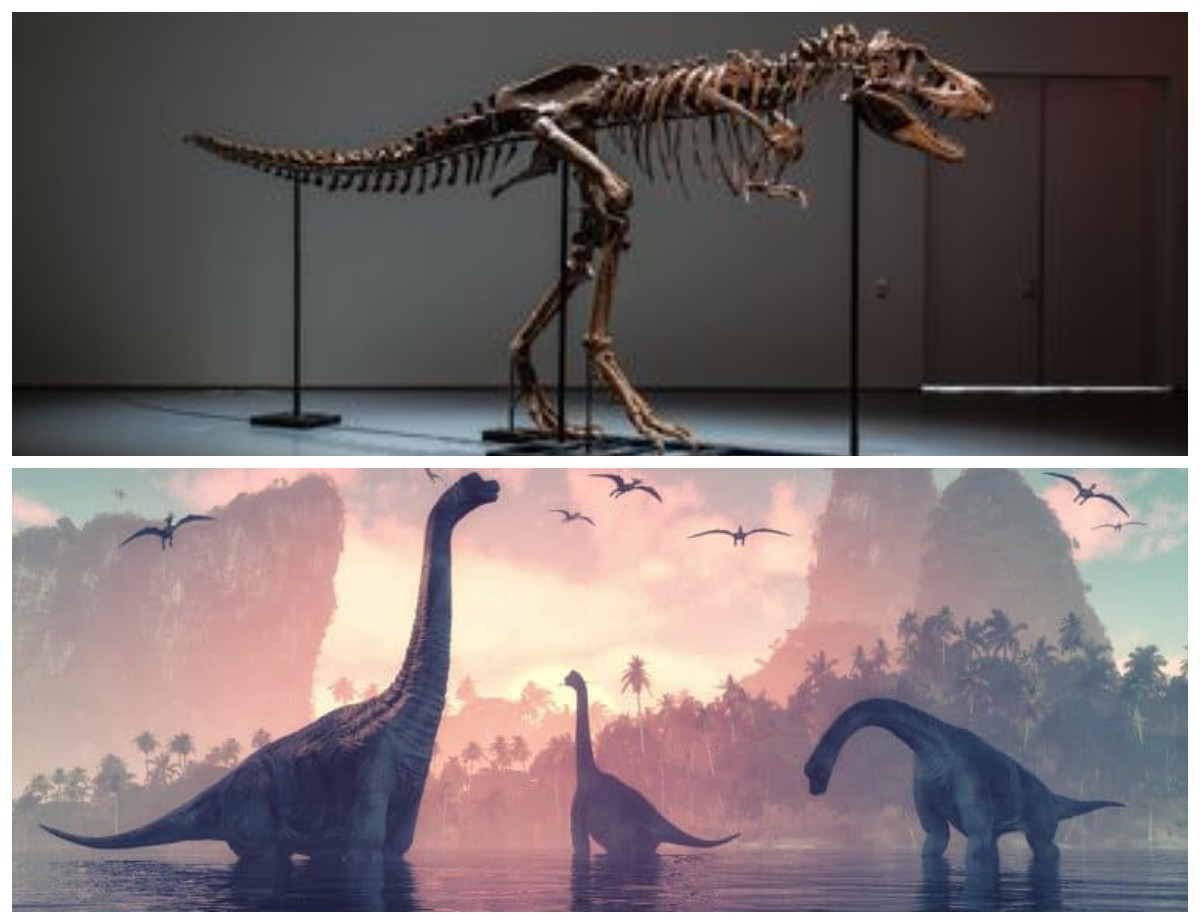 Fakta Mencengangkan! Arkeolog Berhasil Temukan Sisa-sisa Fosil Dinosaurus 