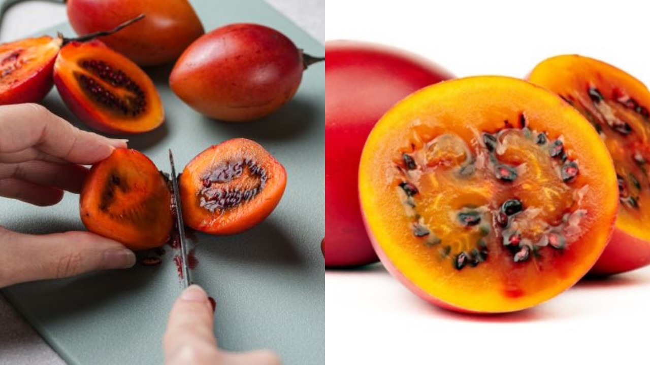 Mengungkap Manfaat Terong Belanda bagi Kesehatan Tubuh Anda!