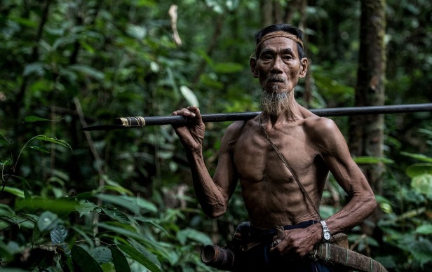 Suku Punan Batu, Si Pemburu dan Peramu di Gunung Batu Benau