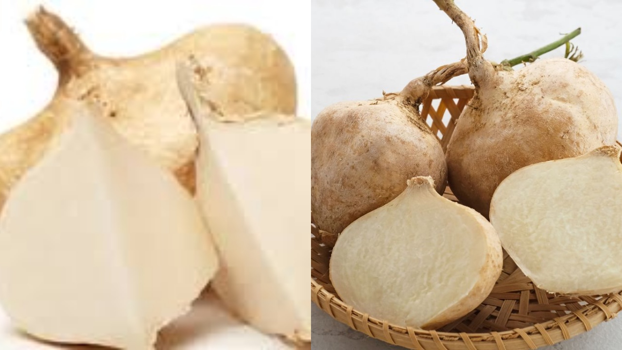 Apa Saja Sih? Manfaat Bengkuang Untuk Kesehatan Tubuh Yuk Simak Ini Penjelasanya