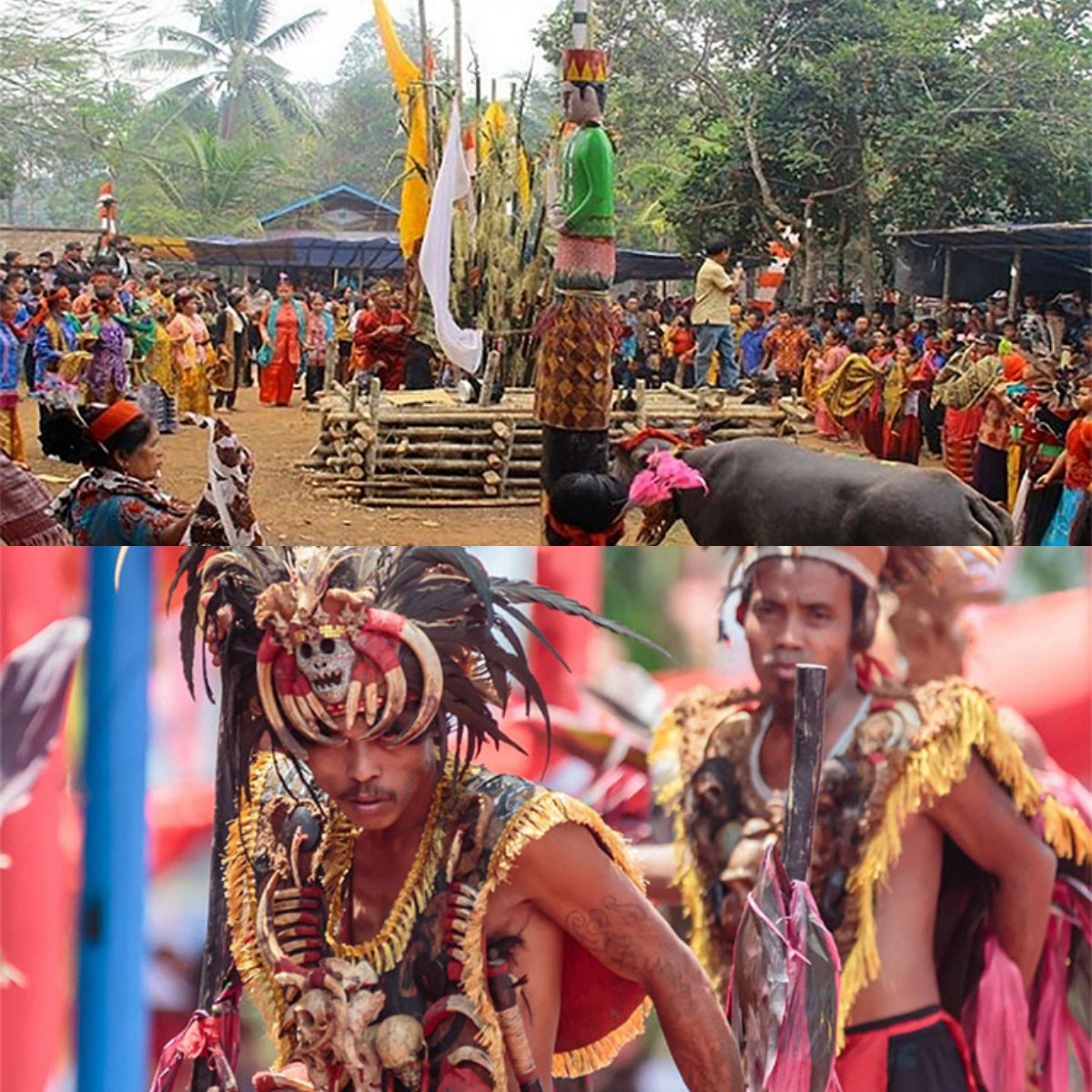 Tabu dan Tradisi Suku Dayak: Apa yang Bisa Kita Pelajari dari Kehidupan Mereka?