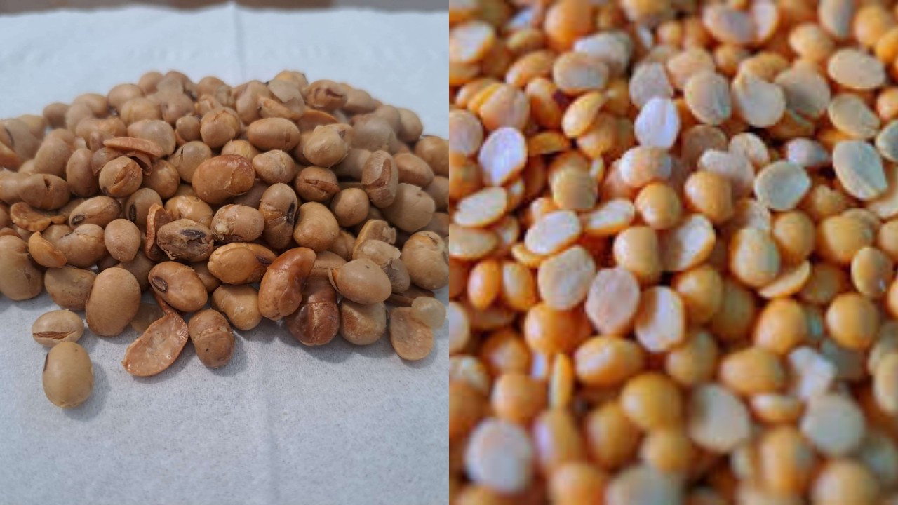  Jarang Diketahui! Sebuah Manfaat Kacang Kedelai, Baik untuk Jantung dan Juga Pencernaan