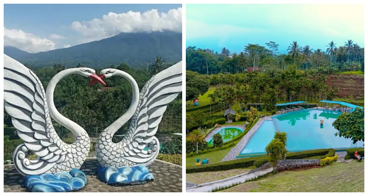 Menelusuri Keindahan Taman Angsa Jawa Barat: Daya Tarik dan Pesonanya