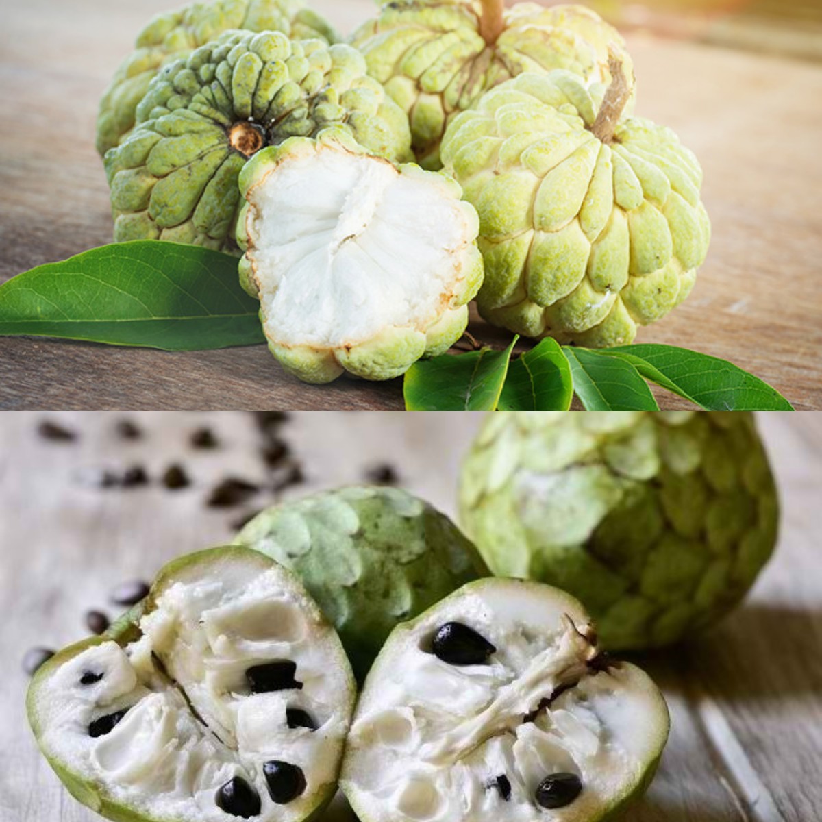 Ketahui 6 Manfaat Buah Srikaya untuk Kesehatan Yuk Simak!