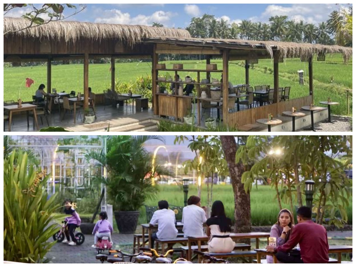 10 Desain Cafe Pinggir Sawah Paling Hits 2026: Perpaduan Gaya Modern dan Nuansa Alam yang Menenangkan